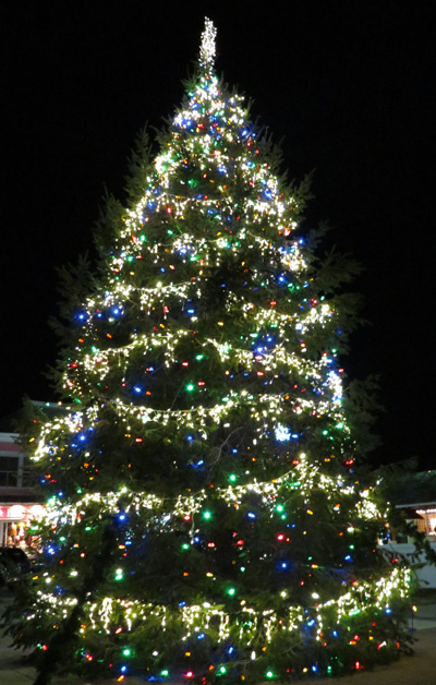 Rehoboth Beach Christmas Tree 2012